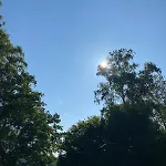 Romantik Wood Waulsort