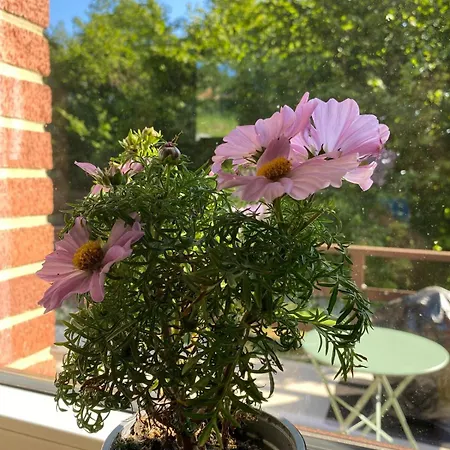 Casa vacanze Romantik Wood *